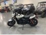2019 Harley-Davidson Street Rod for sale 201206670